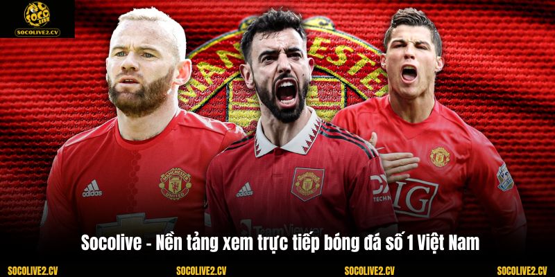 Socolive - Nền tảng xem trực tiếp bóng đá số 1 Việt Nam